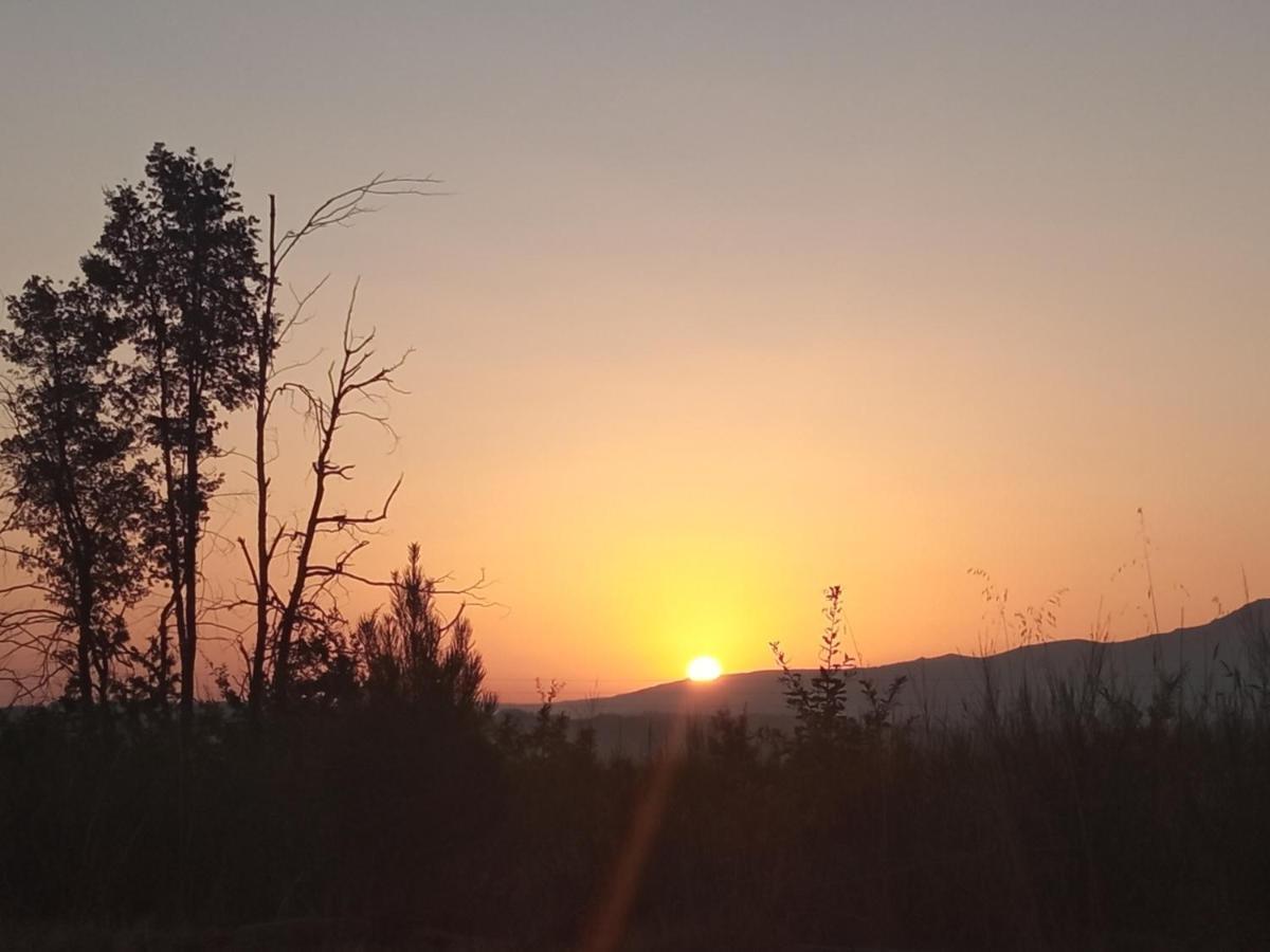 Azevinho Guest House Seia Zewnętrze zdjęcie
