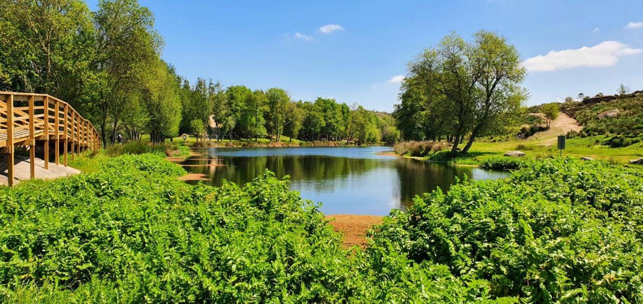 Azevinho Guest House Seia Zewnętrze zdjęcie